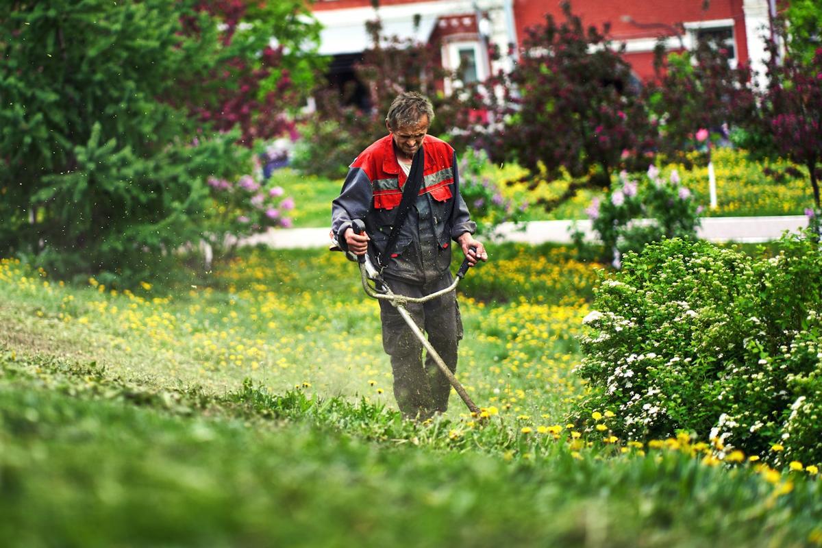 Landscaper trimming grass in a garden